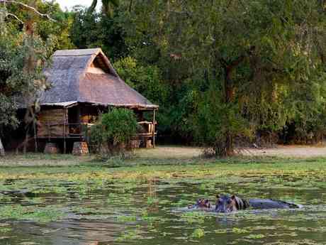 Mfuwe Lodge Game Safari